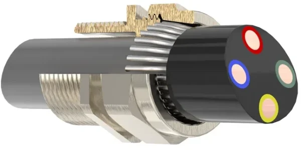 Hawke BW Cable Gland 45 degree cutaway showing internal SWA armour wire clamping